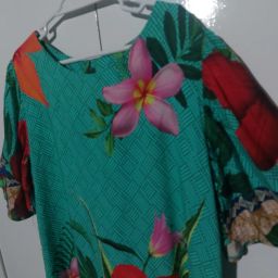 https://img.olx.com.br/thumbs256x256/45/456420597532675.jpg