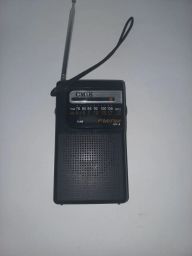 https://img.olx.com.br/thumbs256x256/45/456525526103783.jpg