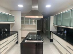 https://img.olx.com.br/thumbs256x256/45/456530285950787.jpg