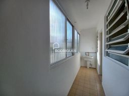 https://img.olx.com.br/thumbs256x256/45/456537649530631.jpg