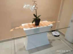 https://img.olx.com.br/thumbs256x256/45/456589263142039.jpg