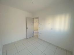 https://img.olx.com.br/thumbs256x256/45/456694062886735.jpg
