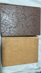 https://img.olx.com.br/thumbs256x256/45/457455288790441.jpg