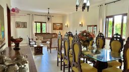 https://img.olx.com.br/thumbs256x256/45/457484784168945.jpg