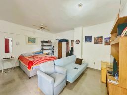 https://img.olx.com.br/thumbs256x256/45/457538755922285.jpg