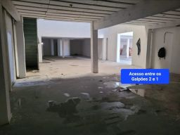 https://img.olx.com.br/thumbs256x256/45/457573756186155.jpg