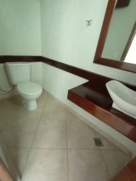 https://img.olx.com.br/thumbs256x256/45/457577163844796.jpg