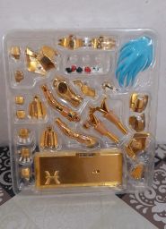 https://img.olx.com.br/thumbs256x256/45/457603665390805.jpg