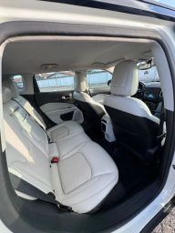 https://img.olx.com.br/thumbs256x256/45/457618322565896.jpg