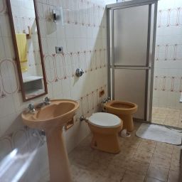 https://img.olx.com.br/thumbs256x256/45/457618786482502.jpg