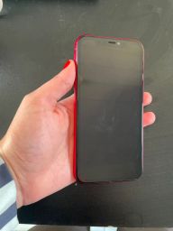 https://img.olx.com.br/thumbs256x256/45/457632676790576.jpg