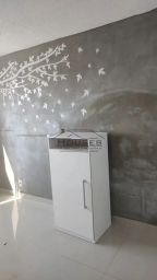 https://img.olx.com.br/thumbs256x256/45/458554282014466.jpg