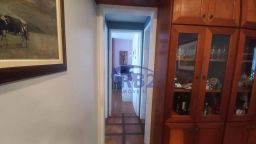 https://img.olx.com.br/thumbs256x256/45/458560166729185.jpg