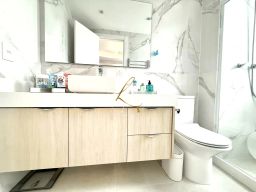 https://img.olx.com.br/thumbs256x256/45/458565880736331.jpg
