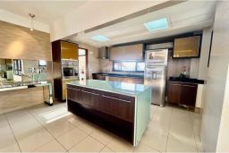 https://img.olx.com.br/thumbs256x256/45/458595288629560.jpg