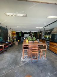 https://img.olx.com.br/thumbs256x256/45/458692566936500.jpg