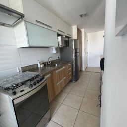 https://img.olx.com.br/thumbs256x256/45/459486560282481.jpg