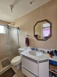 https://img.olx.com.br/thumbs256x256/45/459521522866463.jpg