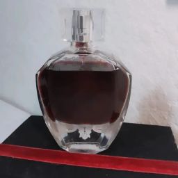 https://img.olx.com.br/thumbs256x256/45/459635074081819.jpg
