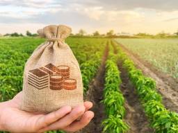 Título do anúncio: Investimentos Agropecuarios (Crédito Rural)