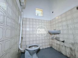 https://img.olx.com.br/thumbs256x256/46/460504755303009.jpg