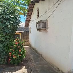 https://img.olx.com.br/thumbs256x256/46/460521751269845.jpg