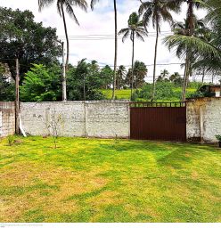 https://img.olx.com.br/thumbs256x256/46/460544282974752.jpg