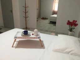 https://img.olx.com.br/thumbs256x256/46/460551635980347.jpg