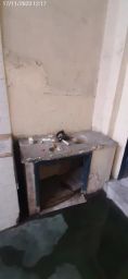 https://img.olx.com.br/thumbs256x256/46/461441550464763.jpg