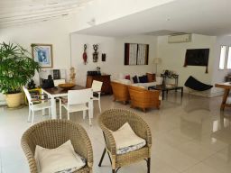 https://img.olx.com.br/thumbs256x256/46/461458480267112.jpg