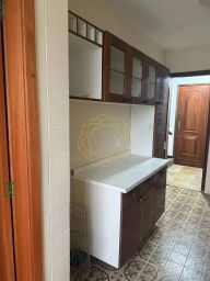 https://img.olx.com.br/thumbs256x256/46/461595403820990.jpg
