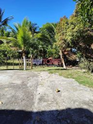 https://img.olx.com.br/thumbs256x256/46/461598407230027.jpg