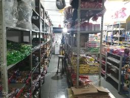 https://img.olx.com.br/thumbs256x256/46/461672804488312.jpg