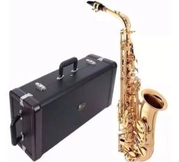 https://img.olx.com.br/thumbs256x256/46/462400917444597.jpg