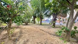 https://img.olx.com.br/thumbs256x256/46/462418309107151.jpg