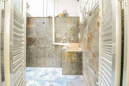 https://img.olx.com.br/thumbs256x256/46/462502166588537.jpg