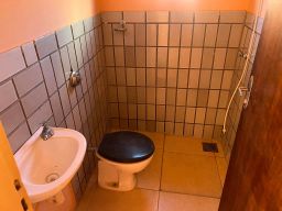 https://img.olx.com.br/thumbs256x256/46/462515522515256.jpg