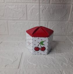 https://img.olx.com.br/thumbs256x256/46/462521633338248.jpg