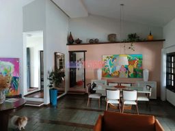 https://img.olx.com.br/thumbs256x256/46/462558281076387.jpg