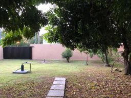https://img.olx.com.br/thumbs256x256/46/462562522334981.jpg