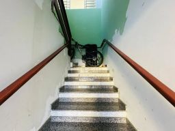 https://img.olx.com.br/thumbs256x256/46/462663548463291.jpg