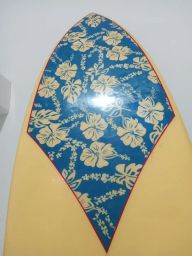 https://img.olx.com.br/thumbs256x256/46/463515485053630.jpg
