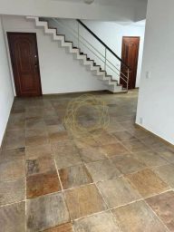 https://img.olx.com.br/thumbs256x256/46/463541767813673.jpg