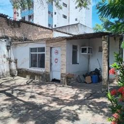 https://img.olx.com.br/thumbs256x256/46/463550638125268.jpg