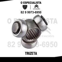 https://img.olx.com.br/thumbs256x256/46/464294059098355.jpg