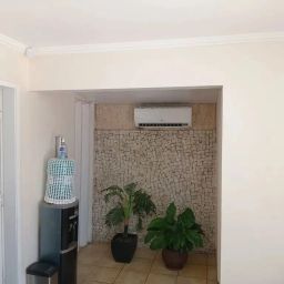 https://img.olx.com.br/thumbs256x256/46/464508156697636.jpg