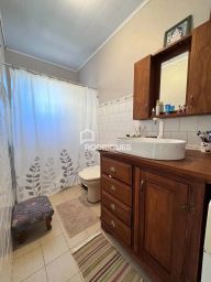 https://img.olx.com.br/thumbs256x256/46/464521402648506.jpg