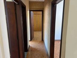 https://img.olx.com.br/thumbs256x256/46/464532766107845.jpg