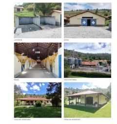 https://img.olx.com.br/thumbs256x256/46/464618202457889.jpg