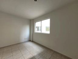 https://img.olx.com.br/thumbs256x256/46/465525760836036.jpg